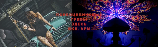 молекула духа Алексин