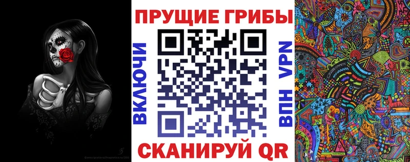 OMG tor  Лаишево  Галлюциногенные грибы MAGIC MUSHROOMS 